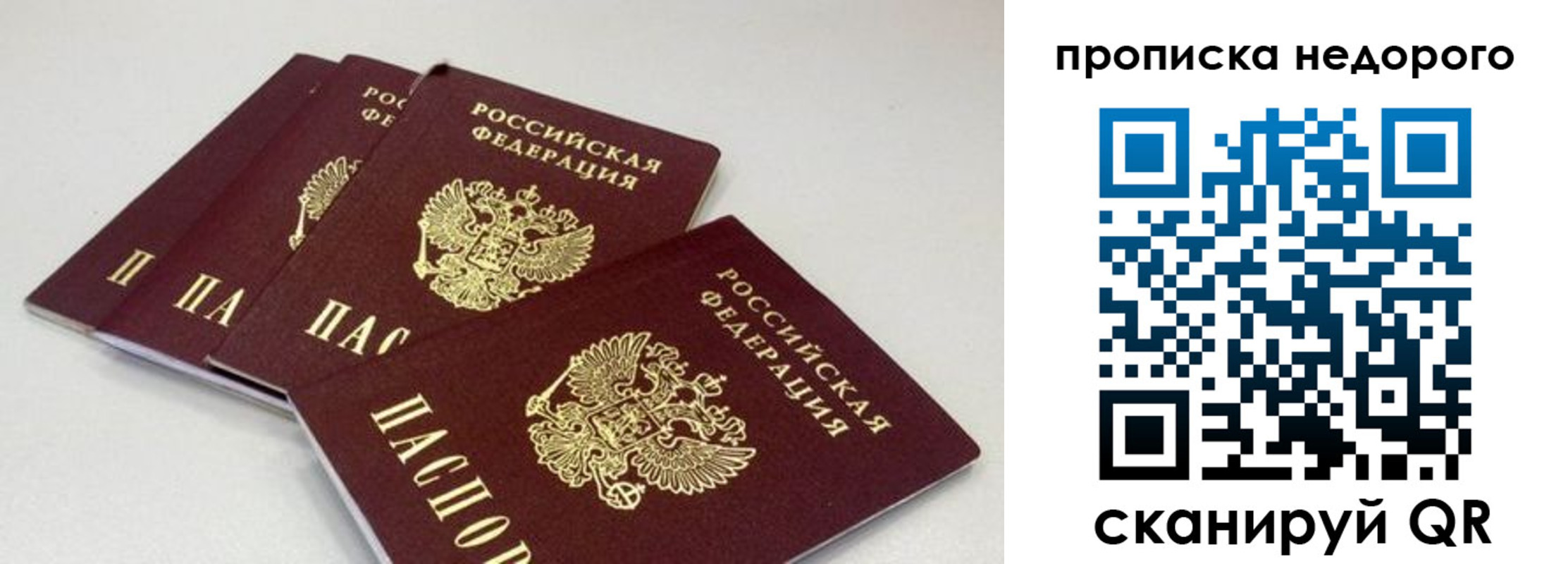 прописка штамп в Новоалександровске
