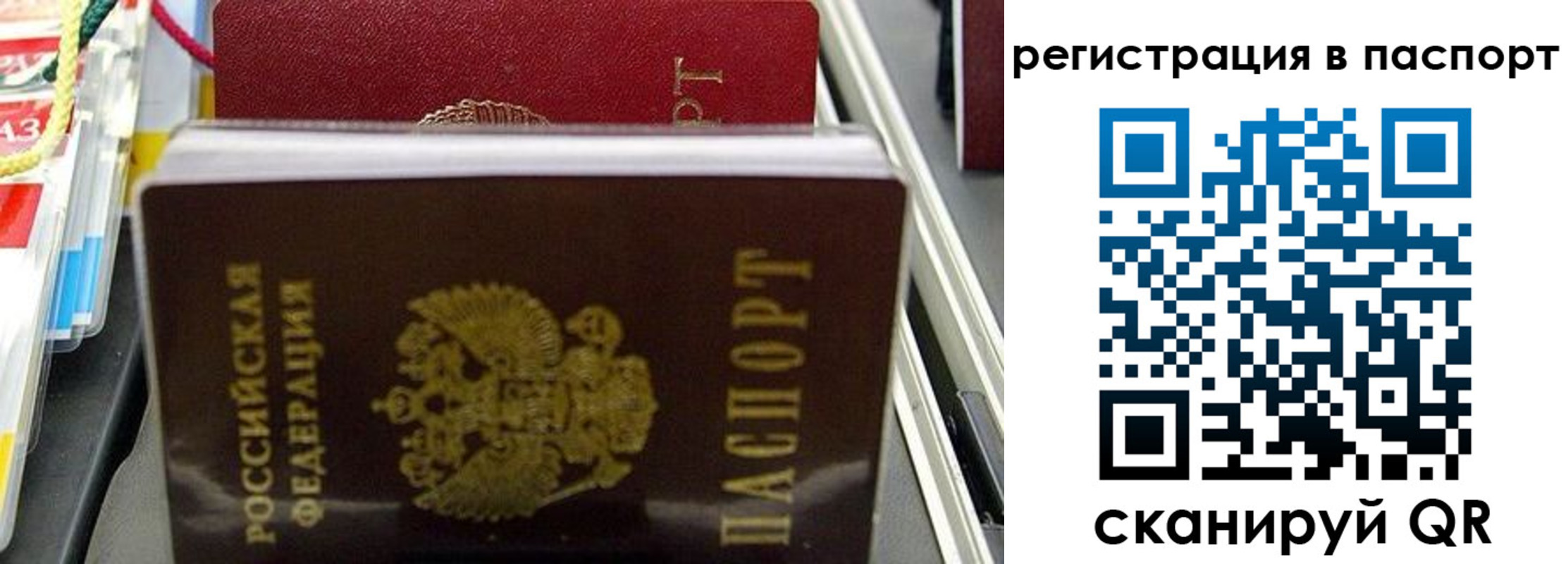 прописка для школы в Новоалександровске